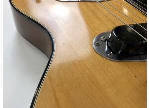 Gibson Les Paul Recording [1971-1980] (82669)