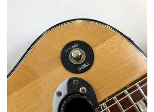 Gibson Les Paul Recording [1971-1980] (43121)