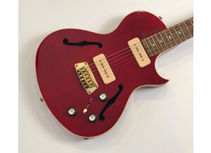 Gibson BluesHawk (30650)