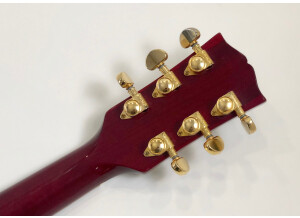 Gibson BluesHawk (35229)