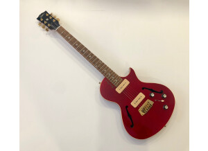 Gibson BluesHawk (54391)