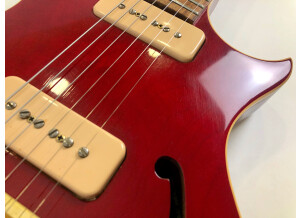 Gibson BluesHawk (86308)