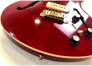 Gibson BluesHawk (9808)