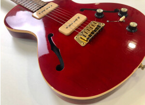 Gibson BluesHawk (97193)