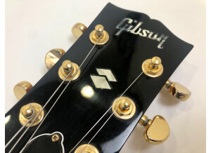 Gibson BluesHawk (99891)