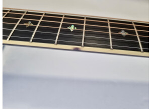 Gibson J-45 Custom Rosewood (4115)