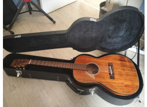 Takamine 1