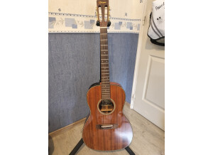 Takamine EF407