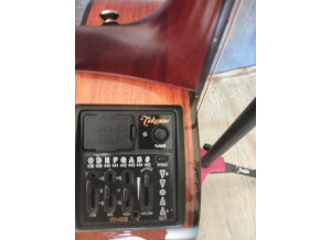préampli takamine