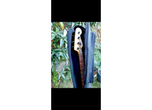 Fender Standard Jazz Bass [2009-2018] (46043)