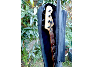 Fender Standard Jazz Bass [2009-2018] (533)