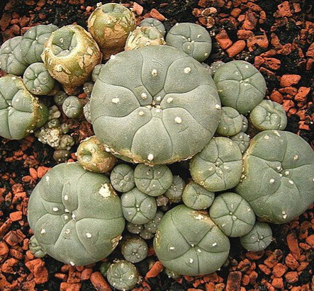 5823456.jpg 5823456.jpg