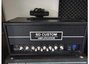 BD Custom Amplification BF/CUSTOM+ (17372)