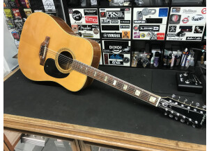 Epiphone FT-165 Bard Deluxe 12-String