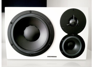 Dynaudio LYD 48 (99086)