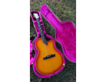 Gibson Chet Atkins SST (39569)