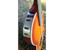 Gibson Chet Atkins SST (60934)