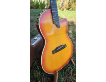 Gibson Chet Atkins SST (48846)