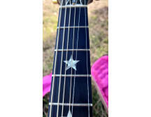 Gibson Chet Atkins SST (35348)