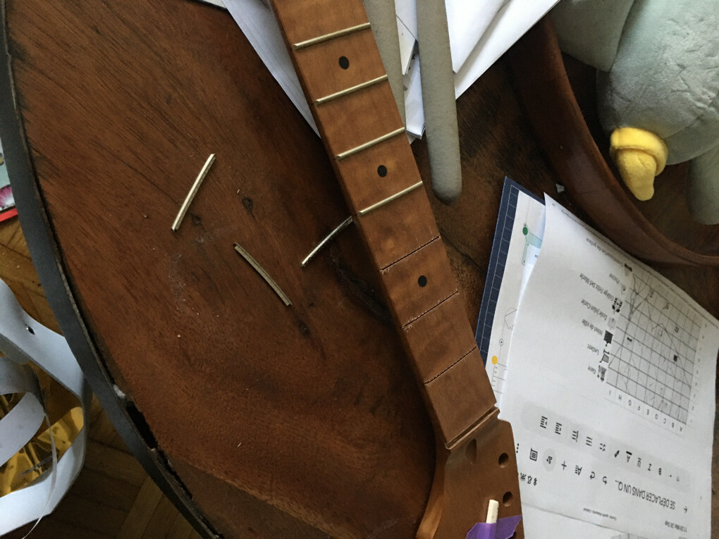 5825665.jpeg 5825665.jpeg