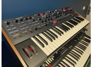 Dave Smith Instruments OB-6 (68224)