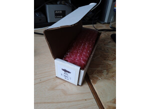 Noise Engineering Viol Ruina (14954)