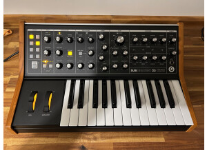Moog Music Subsequent 25 (93871)
