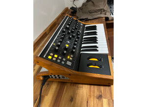 Moog Music Subsequent 25 (35997)