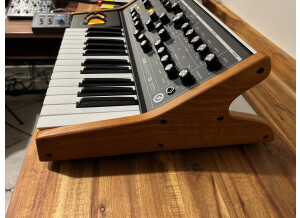 Moog Music Subsequent 25 (92510)
