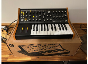 Moog Music Subsequent 25 (25823)