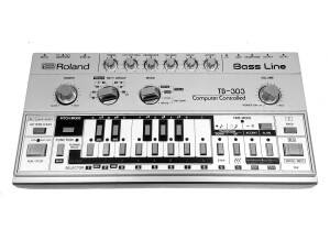 Roland TB-303 (17234)