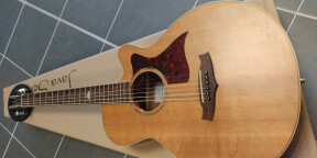 Vends Tanglewood TW145 SS CE Premier Guitare folk (occasion)