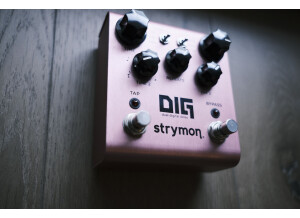 Strymon DIG (80564)
