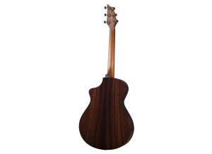 Premier Concert Thinline CEBACK