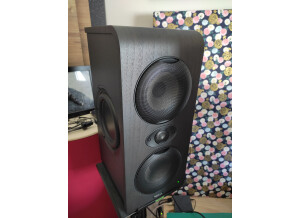 Focal Shape Twin (35391)