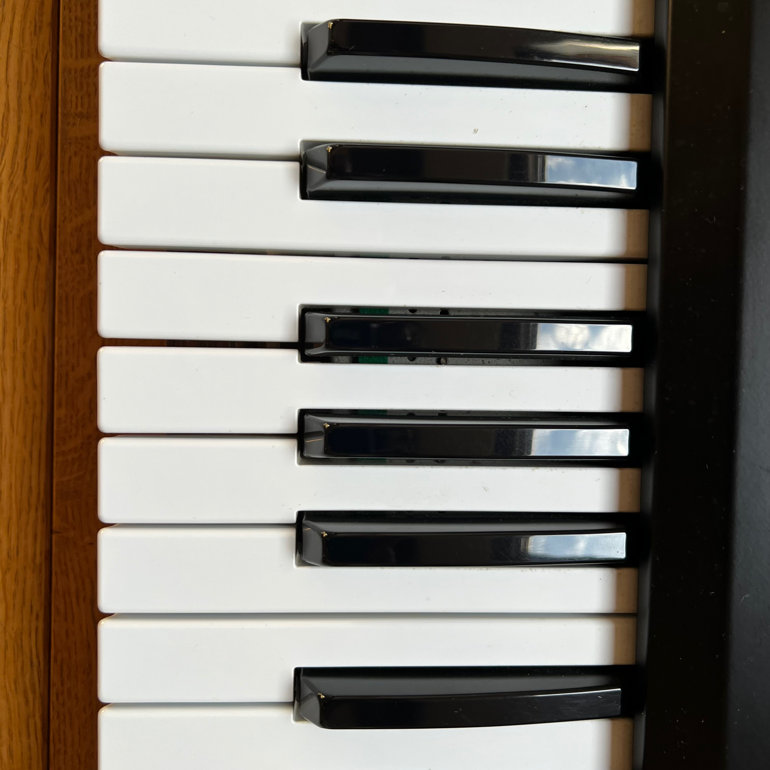 Roland JUNO-60 (22542)