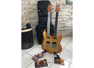 Vigier DoubleBfoot Ron Thal Signature (97461)