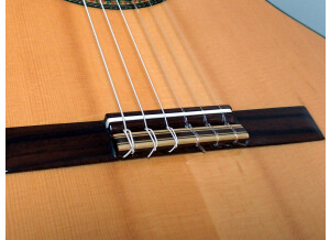 Alhambra Guitars 3 F