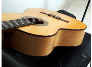 Alhambra Guitars 3 F