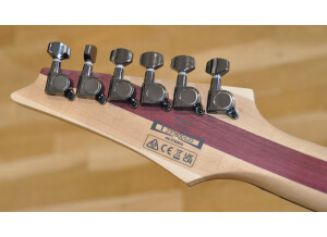 Ibanez JIVA10 #635 (13)