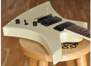Jackson Kelly KEXTMG Ivory (5)