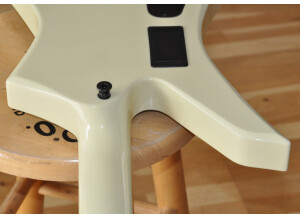 Jackson Kelly KEXTMG Ivory (11)