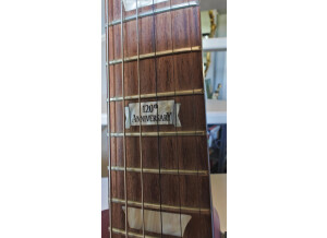 Gibson Les Paul Classic 2014 (13835)