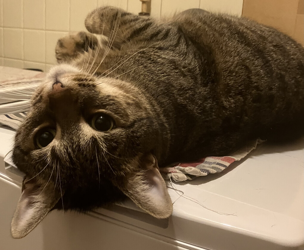 5831209.jpeg 5831209.jpeg