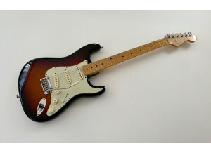 Fender American Professional Stratocaster (65679)
