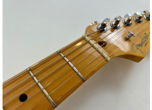 Fender American Professional Stratocaster (25120)