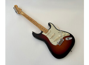 Fender American Professional Stratocaster (80260)