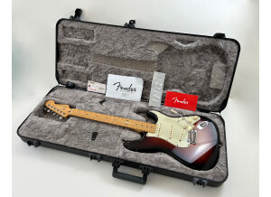 Fender American Professional Stratocaster (25572)