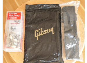 Gibson LP Special Faded 2013 (16)