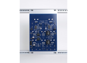 Malekko Richter Dual Borg (3439)